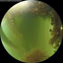 ./images/calvert/underwater/20260906/underwater20260906_164002M.jpg