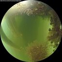./images/calvert/underwater/20260906/underwater20260906_164501M.jpg