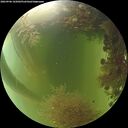 ./images/calvert/underwater/20260906/underwater20260906_165001M.jpg