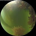 ./images/calvert/underwater/20260906/underwater20260906_171001M.jpg