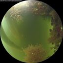 ./images/calvert/underwater/20260906/underwater20260906_171501M.jpg