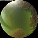 ./images/calvert/underwater/20260906/underwater20260906_172001M.jpg