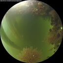 ./images/calvert/underwater/20260906/underwater20260906_172501M.jpg