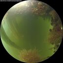 ./images/calvert/underwater/20260906/underwater20260906_173501M.jpg