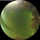 ./images/calvert/underwater/20260906/underwater20260906_174001M.jpg