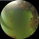 ./images/calvert/underwater/20260906/underwater20260906_174502M.jpg