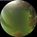 ./images/calvert/underwater/20260906/underwater20260906_175001M.jpg