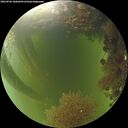 ./images/calvert/underwater/20260906/underwater20260906_180002M.jpg