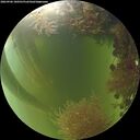 ./images/calvert/underwater/20260906/underwater20260906_180501M.jpg