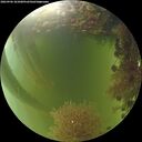 ./images/calvert/underwater/20260906/underwater20260906_181001M.jpg