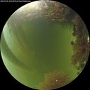 ./images/calvert/underwater/20260906/underwater20260906_181502M.jpg