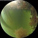 ./images/calvert/underwater/20260906/underwater20260906_182001M.jpg