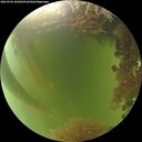 ./images/calvert/underwater/20260906/underwater20260906_183002M.jpg