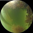 ./images/calvert/underwater/20260906/underwater20260906_183501M.jpg