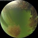 ./images/calvert/underwater/20260906/underwater20260906_184001M.jpg