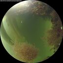 ./images/calvert/underwater/20260906/underwater20260906_185002M.jpg