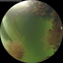 ./images/calvert/underwater/20260906/underwater20260906_185501M.jpg