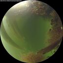 ./images/calvert/underwater/20260906/underwater20260906_190001M.jpg