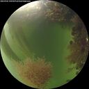 ./images/calvert/underwater/20260906/underwater20260906_190501M.jpg