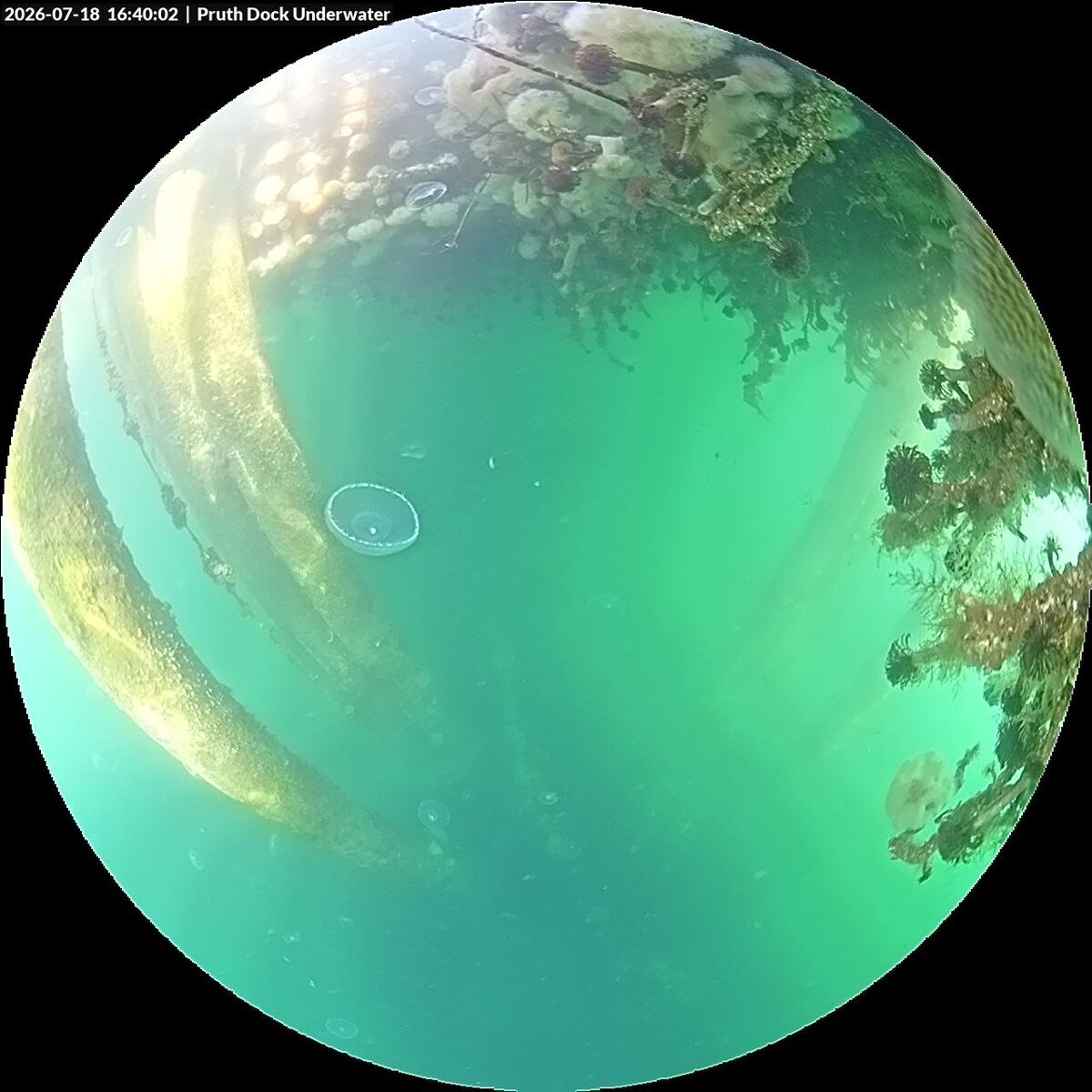 underwater