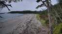 ./images/calvert/westbeachdunes/20261001/westbeachdunes20261001_150002M.jpg