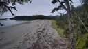 ./images/calvert/westbeachdunes/20261002/westbeachdunes20261002_080001M.jpg