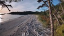 ./images/calvert/westbeachdunes/20261002/westbeachdunes20261002_180001M.jpg