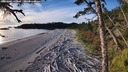 ./images/calvert/westbeachdunes/20261003/westbeachdunes20261003_180001M.jpg