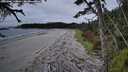 ./images/calvert/westbeachdunes/20261004/westbeachdunes20261004_110001M.jpg