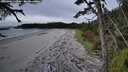 ./images/calvert/westbeachdunes/20261004/westbeachdunes20261004_120002M.jpg