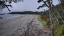 ./images/calvert/westbeachdunes/20261004/westbeachdunes20261004_170002M.jpg