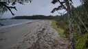 ./images/calvert/westbeachdunes/20261004/westbeachdunes20261004_190001M.jpg