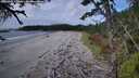./images/calvert/westbeachdunes/20261005/westbeachdunes20261005_130001M.jpg