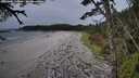 ./images/calvert/westbeachdunes/20261005/westbeachdunes20261005_150001M.jpg