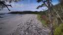 ./images/calvert/westbeachdunes/20261006/westbeachdunes20261006_140001M.jpg