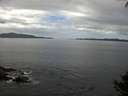 ./images/koeye/fitz-hugh/20140926/fitz-hugh20140926_115501.jpg