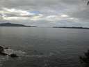 ./images/koeye/fitz-hugh/20140926/fitz-hugh20140926_120502.jpg