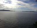 ./images/koeye/fitz-hugh/20140926/fitz-hugh20140926_133001.jpg