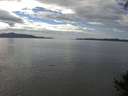 ./images/koeye/fitz-hugh/20140926/fitz-hugh20140926_142503.jpg