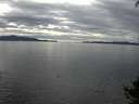 ./images/koeye/fitz-hugh/20140926/fitz-hugh20140926_152003.jpg
