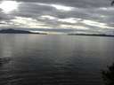 ./images/koeye/fitz-hugh/20140926/fitz-hugh20140926_153502.jpg