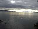 ./images/koeye/fitz-hugh/20140926/fitz-hugh20140926_164501.jpg