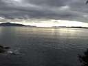 ./images/koeye/fitz-hugh/20140926/fitz-hugh20140926_165001.jpg