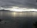 ./images/koeye/fitz-hugh/20140926/fitz-hugh20140926_170003.jpg