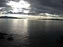 ./images/koeye/fitz-hugh/20140926/fitz-hugh20140926_172003.jpg
