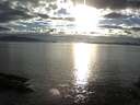 ./images/koeye/fitz-hugh/20140926/fitz-hugh20140926_180501.jpg