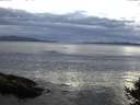 ./images/koeye/fitz-hugh/20140926/fitz-hugh20140926_191003.jpg