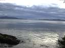 ./images/koeye/fitz-hugh/20140926/fitz-hugh20140926_191503.jpg