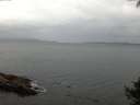 ./images/koeye/fitz-hugh/20140927/fitz-hugh20140927_071502.jpg