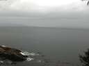 ./images/koeye/fitz-hugh/20140927/fitz-hugh20140927_080003.jpg
